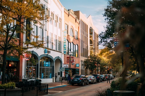 A photo of the Kalamazoo mall at sunset.