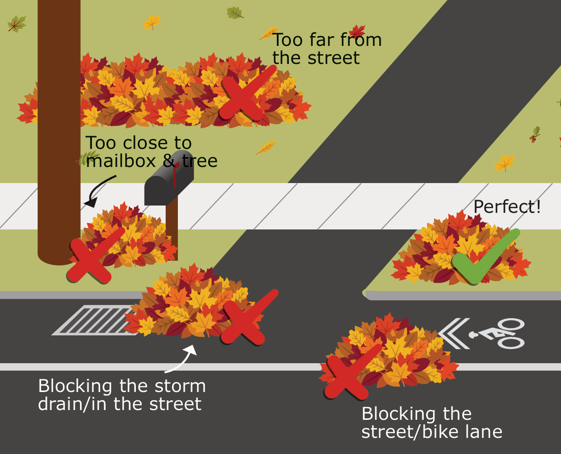 A diagram with fall colors showing proper placement of leaves for leaf pickup.