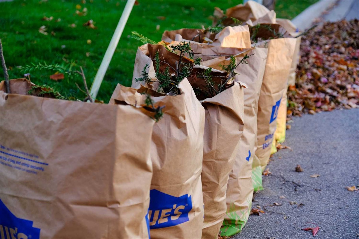 Brush Pickup City of Kalamazoo